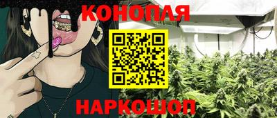 прущие грибы Конаково